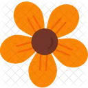 Fresia Flor Florescer Ícone
