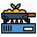 Fried  Icon