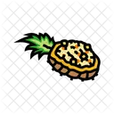 Fried Pineapple  Icon