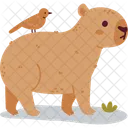 Friendly Capybara And a Little Bird  Icon