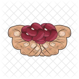 Frijol rojo  Icono