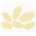 Frijoles Blancos Semillas Legumbres Icono
