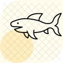 Frilled Shark Frilled Shark Icon