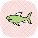 Frilled Shark Frilled Shark Icon