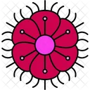 Fringed Fringed Dianthus Floral Icon