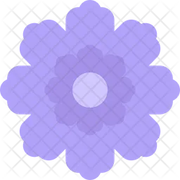 Fringed Dianthus  Icon