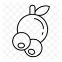  Symbol