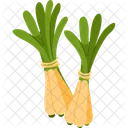 Fruhlingszwiebeln Gemuse Bund Symbol