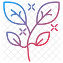 Frische Symbol