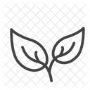 Frische  Symbol