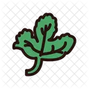 Frische Krauter Lokale Produkte Authentisch Symbol