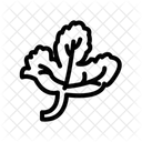 Frische Kräuter  Symbol