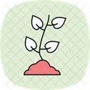 Frische Setzlinge Symbol