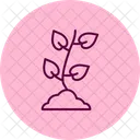 Frische Setzlinge Frisch Setzlinge Symbol