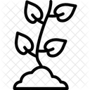 Frische Setzlinge Frisch Setzlinge Symbol