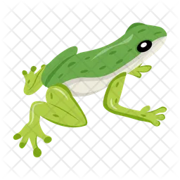 Frog  Icon