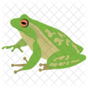개구리 동물 카멜레온 아이콘