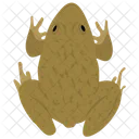개구리  아이콘