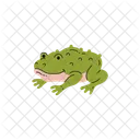 Toad Frog Vector Icon