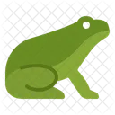Frog Animal Nature Icon