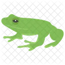 Frog Jumping Animal Amphibian Icon