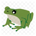 Frog Toad Amphibian Icon