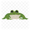 Frog Toad Amphibian Icon