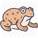 Toad Frog Amphibian Icon