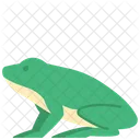 Amphibian Frog Animal Icon