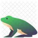 Amphibian Frog Animal Icon