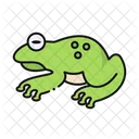 Frog Amphibian Wildlife Icon