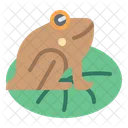 Frog Animal Toad Icon
