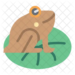 Frog  Icon