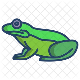 Frog  Icon