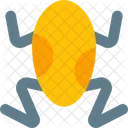 Frog  Icon