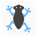 Frog Animal Wildlife Icon