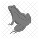 Frog Animal Wildlife Icon