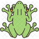 Frog Amphibia Animal Icon