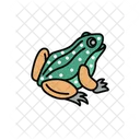 Frog Animal Amphibian Symbol