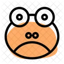Frog Frowning  Icon