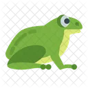 Frog Animal Amphibian Icon