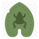 Frog Amphibian Toad Icon