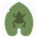 Frog On Lotus Leaf  Icon
