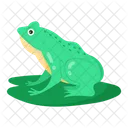 Toad Frog Frog Leaf Icon