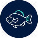 Frogfish Ocean Marine Icon
