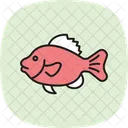 Frogfish Ocean Marine Icon