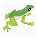 Frosch  Symbol