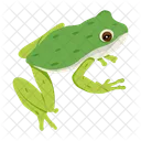 Frosch  Symbol