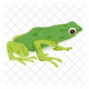 Frosch  Symbol