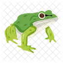 Frosch Krote Ochsenfrosch Symbol